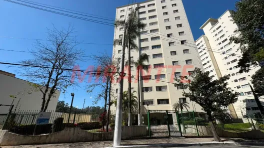Apartamento com 3 Quartos para venda ou aluguel, 79m² no Jardim Paraíso, São Paulo