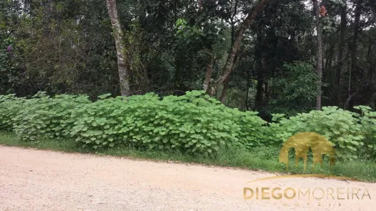 Lote/Terreno à venda, 4041m² no Pirucaia, Mairiporã