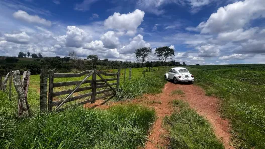 Fazenda/Sítio com 3 Quartos à venda, 100m² no , Pirenópolis