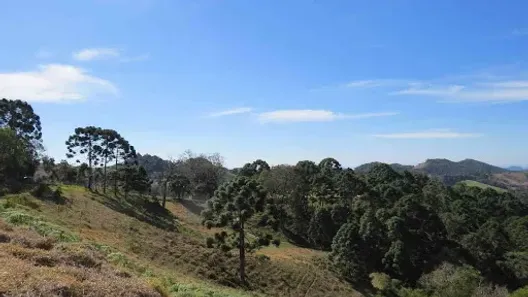 Lote/Terreno à venda, 22000m² no Bairro Sertão do Cantagalo, Gonçalves
