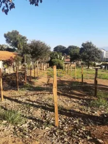 Lote/Terreno à venda, 299m² no Parque Shangri-lá, Pindamonhangaba