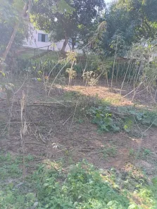 Fazenda/Sítio com 3 Quartos à venda, 300m² no , Paraibuna