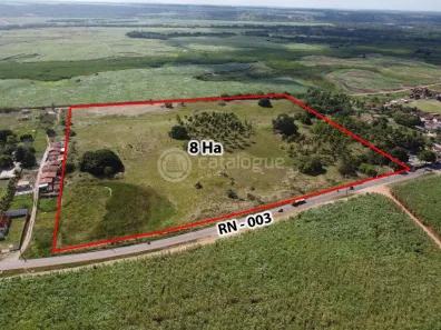 Lote/Terreno à venda, 80000m² no Goianinha, Goianinha