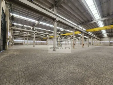 Galpão/Depósito/Armazém para alugar, 10000m² no Vila Alpina, São Paulo