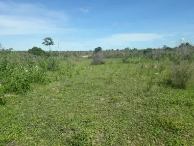 Fazenda/Sítio com 3 Quartos à venda, 2400000m² no , Boa Saúde
