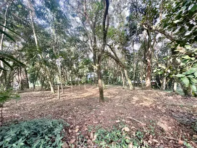 Lote/Terreno à venda, 1472m² no Parque Rincão, Cotia