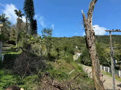 Lote/Terreno à venda, 47743m² no Itacorubi, Florianópolis