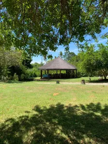 Fazenda/Sítio com 25 Quartos à venda, 125000m² no , Mata de São João