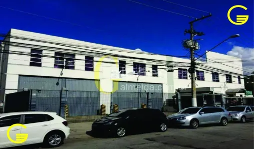 Galpão/Depósito/Armazém para alugar, 3016m² no Vila Anastácio, São Paulo