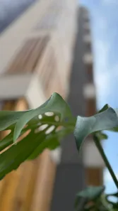 Apartamento com 4 Quartos à venda, 339m² no Centro, Juiz de Fora