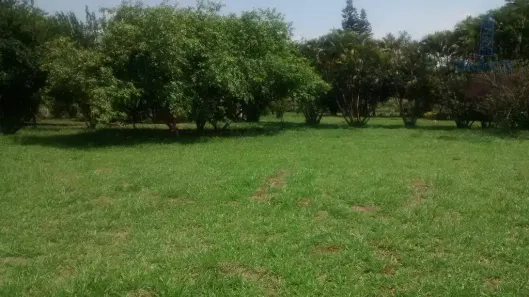 Lote/Terreno à venda, 8000m² no Santa Terezinha, Paulínia