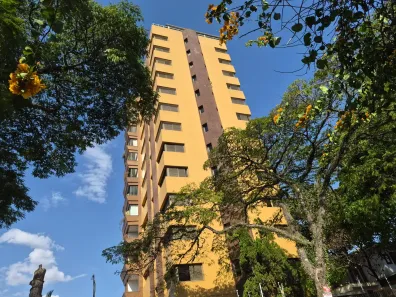 Apartamento com 3 Quartos à venda, 173m² no Vila Albertina, São Paulo