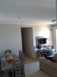 Apartamento com 2 Quartos à venda, 50m² no Jardim Santa Rosa I, São José do Rio Preto