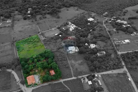 Fazenda/Sítio com 4 Quartos à venda, 20000m² no Ponte Alta Norte, Brasília