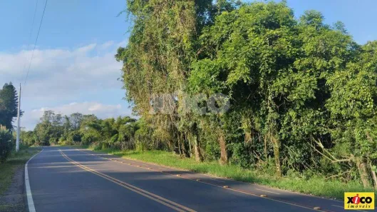 Fazenda/Sítio com 1 Quarto à venda, 5000m² no , Nova Petrópolis