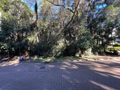 Lote/Terreno à venda, 724m² no , Canela