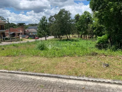 Lote/Terreno à venda, 595m² no Carniel, Gramado