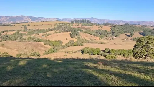 Fazenda/Sítio à venda, 2000m² no Jardim Ana Maria, Cambuí