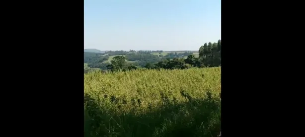 Fazenda/Sítio com 2 Quartos à venda, 50m² no Área Rural de Botucatu, Botucatu