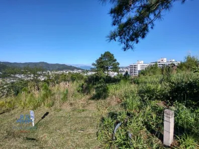 Lote/Terreno à venda, 450m² no Itacorubi, Florianópolis
