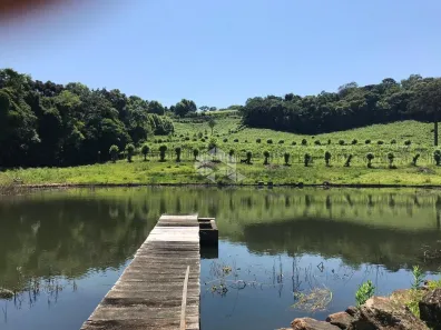 Fazenda/Sítio à venda, 140000m² no , Monte Belo do Sul
