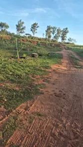 Fazenda/Sítio com 3 Quartos à venda, 215m² no , Presidente Castelo Branco