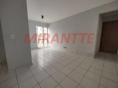 Apartamento com 2 Quartos à venda, 55m² no Jardim Maristela, São Paulo