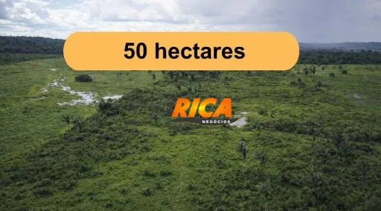 Fazenda/Sítio à venda, 500000m² no Área Rural de Porto Velho, Porto Velho