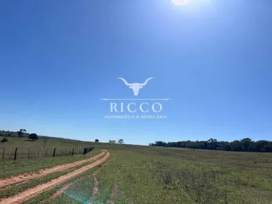 Fazenda/Sítio com 3 Quartos à venda, 337m² no Setor Central, Serranópolis