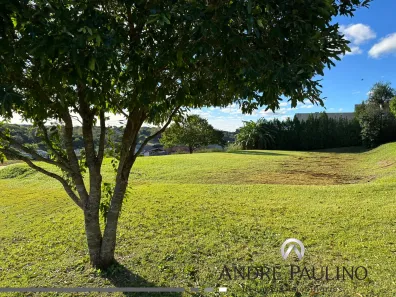 Lote/Terreno à venda, 1250m² no Loteamento Terras de Canaã, Cambé