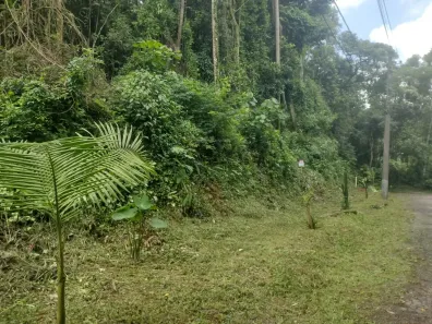 Lote/Terreno à venda, 1751m² no Caraguatá, Mairiporã