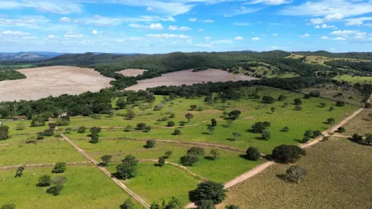 Fazenda/Sítio à venda, 9m² no Setor Sul, Goianésia