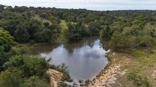 Fazenda/Sítio com 3 Quartos à venda, 32m² no , Mairipotaba