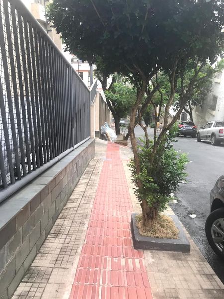 Apartamento com 3 quartos — Santo Antônio, Belo Horizonte