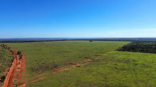 Fazenda/Sítio à venda, 4700m² no , Ribas do Rio Pardo