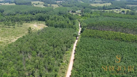 Fazenda/Sítio à venda, 54000m² no , Triunfo