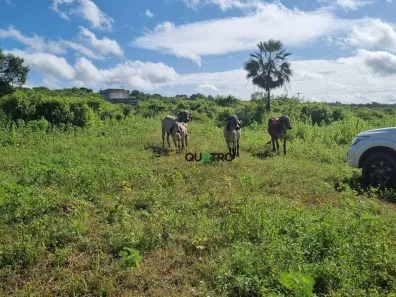 Fazenda/Sítio à venda, 960000m² no Acarape, Acarape