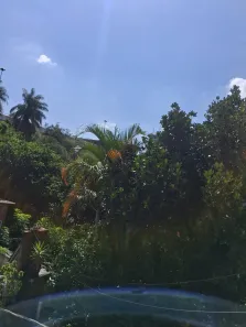 Casa com 2 Quartos para alugar, 50m² no Cidade Líder, São Paulo