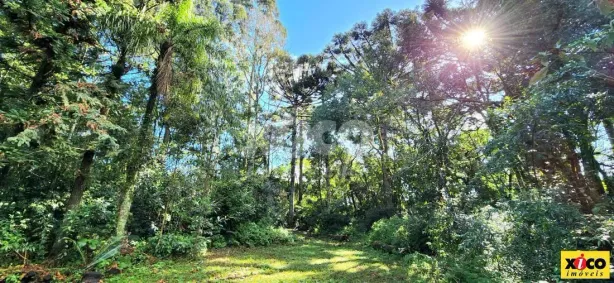 Lote/Terreno à venda, 6472m² no Nova Petrópolis, Nova Petrópolis