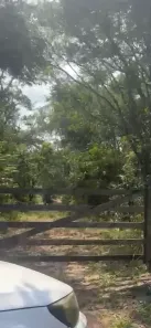 Lote/Terreno à venda, 1000m² no Capim Rasteiro (Chácaras Campo Alegre), Contagem