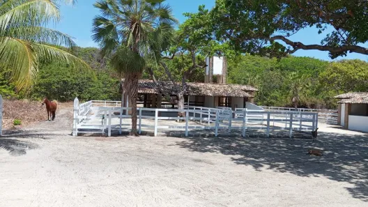 Fazenda/Sítio com 2 Quartos à venda, 60506m² no , Beberibe