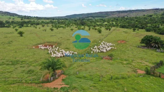 Fazenda/Sítio com 8 Quartos à venda, 2000m² no Setor Central, Jussara
