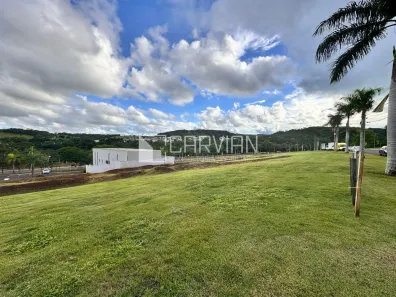 Lote/Terreno à venda, 525m² no Residencial e Empresarial Alphaville, Ribeirão Preto