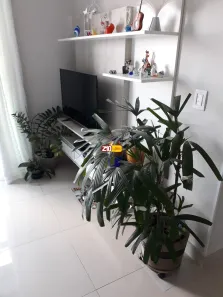 Apartamento com 3 Quartos à venda, 83m² no Vila Brizzola, Indaiatuba
