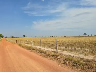 Fazenda/Sítio com 5 Quartos à venda, 5400m² no , Mundo Novo