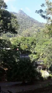 Lote/Terreno à venda, 4500m² no Cosme Velho, Rio de Janeiro