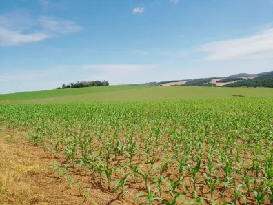 Fazenda/Sítio à venda, 6534000m² no , Itaporanga