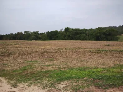 Fazenda/Sítio com 2 Quartos à venda, 90m² no , Angatuba