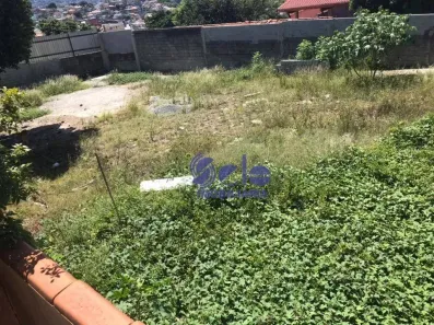 Lote/Terreno à venda, 550m² no Vila Hebe, São Paulo