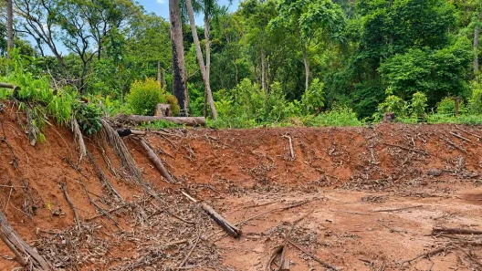 Lote/Terreno à venda, 1066m² no Colibris, Embu-Guaçu